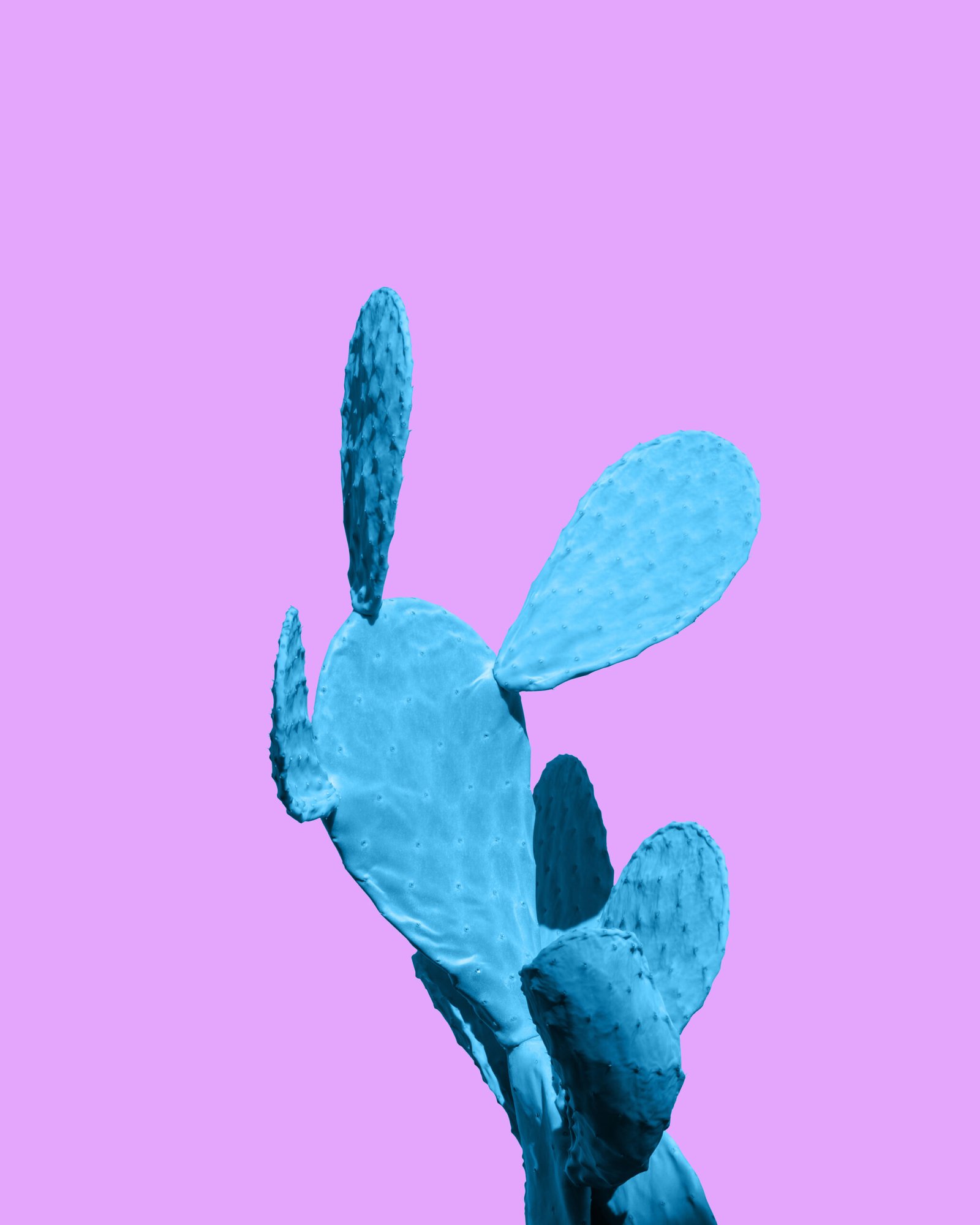 Carlos